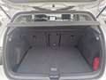 Volkswagen Golf VIII 1.5 TSI MOVE *AHK *ACC *NAVI *CLIMA *PDC * Wit - thumbnail 15