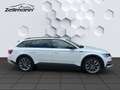 Skoda Superb Final Edition 2.0 TDI EU6d Combi Scout 2.0TDI 4x4 Weiß - thumbnail 7