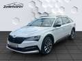 Skoda Superb Final Edition 2.0 TDI EU6d Combi Scout 2.0TDI 4x4 Weiß - thumbnail 1