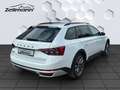 Skoda Superb Final Edition 2.0 TDI EU6d Combi Scout 2.0TDI 4x4 Weiß - thumbnail 6