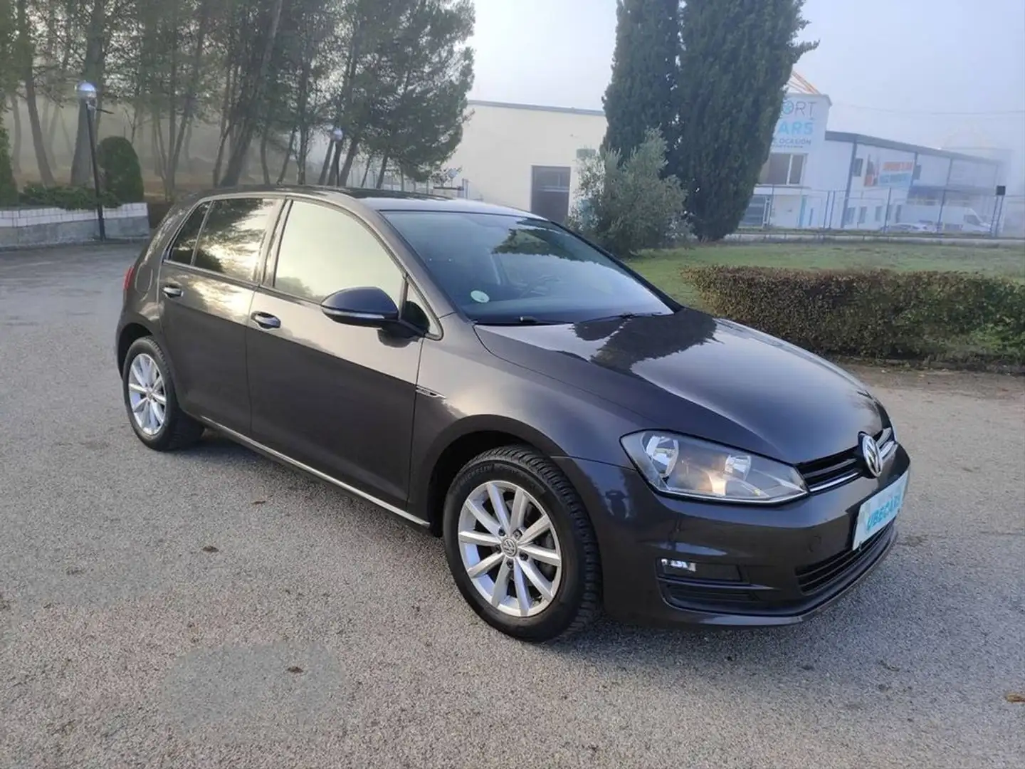 Volkswagen Golf Advance 1.6 TDI 110CV BMT Grau - 2
