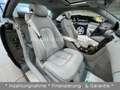 Mercedes-Benz CL 600 *Limited Edition*Traum Zustand*Voll Grijs - thumbnail 15