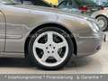 Mercedes-Benz CL 600 *Limited Edition*Traum Zustand*Voll Grigio - thumbnail 5