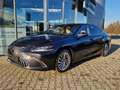 Lexus ES 300 h Luxury Line HUD, 360°Kamera, Schiebedach Noir - thumbnail 1
