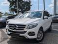 Mercedes-Benz GLE 250 d 4Matic Navi. RFK. Sitzh. AHK. BT Biały - thumbnail 2
