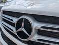 Mercedes-Benz GLE 250 d 4Matic Navi. RFK. Sitzh. AHK. BT Weiß - thumbnail 21