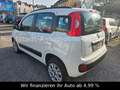 Fiat New Panda 0.9 8V TwinAir LOUNGE Natural Power White - thumbnail 4