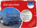 BYD Dolphin Design 204PS Aut. ab € 210,- monatl. Grau - thumbnail 1