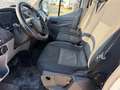 Fiat Ducato ford transit 2.0TDCi 9 posti PM-TM tg: FF100VT Blanc - thumbnail 11