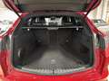 Alfa Romeo Stelvio 2.2 TD 210 CV Tributo Italiano AT8 Q4 Rosso - thumbnail 11