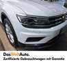 Volkswagen Tiguan Highline TDI SCR 4MOTION DSG Blanc - thumbnail 14