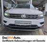 Volkswagen Tiguan Highline TDI SCR 4MOTION DSG Blanc - thumbnail 4