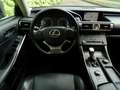 Lexus IS 300 300h Luxury | LEER | Alle opties | Dealer-Oh | Grau - thumbnail 15