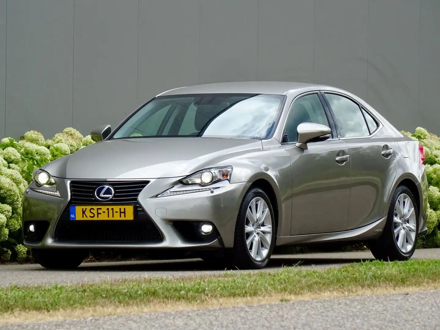 Lexus IS 300 300h Luxury | LEER | Alle opties | Dealer-Oh | Grau - 1