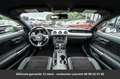 Ford Mustang Pack Shelby Tout compris hors homologation 4500e Gris - thumbnail 26