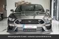 Ford Mustang Pack Shelby Tout compris hors homologation 4500e Gris - thumbnail 17