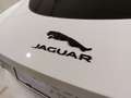 Jaguar F-Type P300 Coupe R-D Aut. | Auto Stahl Wien 23 bijela - thumbnail 12