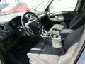 Ford Galaxy Business Plus Braun - thumbnail 7