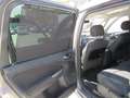 Ford Galaxy Business Plus Braun - thumbnail 12