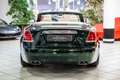 Rolls-Royce Dawn DETAILING&TOURING PACK|NIGHT VIEW|MASSAGE SEATS Grün - thumbnail 6