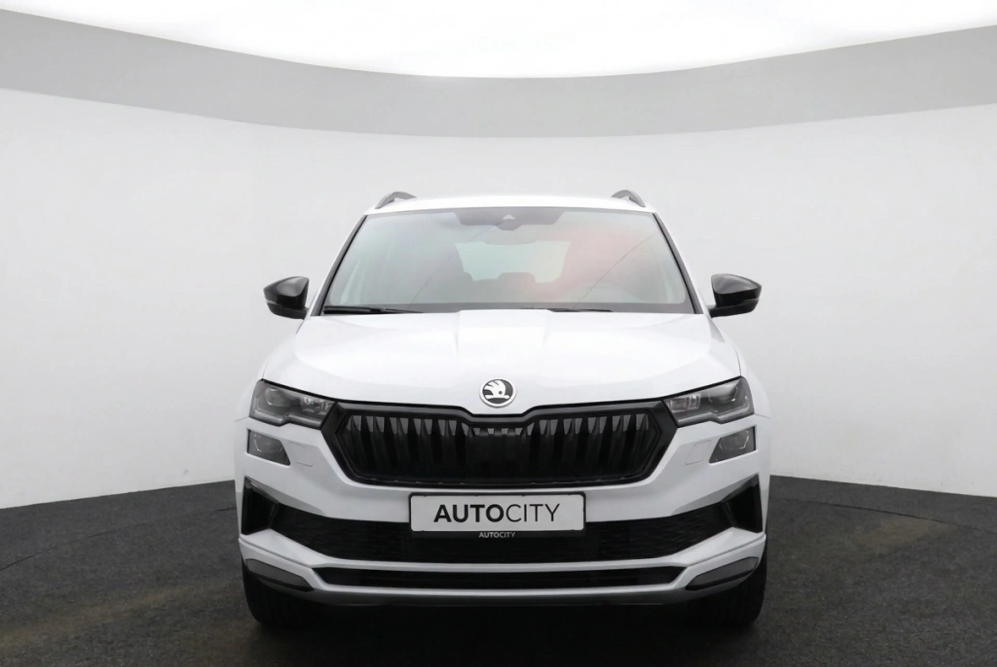 Skoda Karoq Sportline 1.5 TSI Camera l Elektrische Acherklep l — photo 8