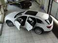 Audi A4 allroad quattro 45 TDI Matrix Virtual Panorama White - thumbnail 4