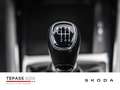 Skoda Scala 1.0l TSI Ambition KLIMA PDC SHZ KESSY Negru - thumbnail 12