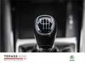 Skoda Scala 1.0l TSI Ambition KLIMA PDC SHZ KESSY Schwarz - thumbnail 12