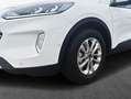 Ford Kuga 2.0 EcoBlue Aut. TITANIUM 88 kW, 5-türig (Die Blanc - thumbnail 5