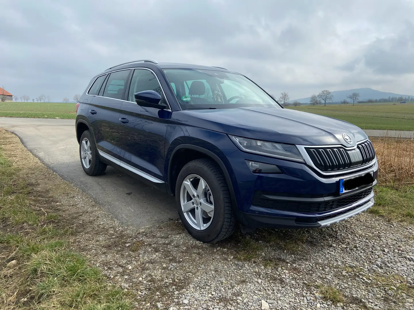 Skoda Kodiaq Kodiaq Diesel 2.0 TDI 4x4 Style Blau - 1