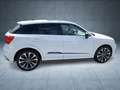 Audi SQ2 TFSI 221(300) kW(PS) S tronic Weiß - thumbnail 8
