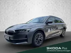 Skoda Octavia Combi 1.5 TSI mHEV DSG Selection