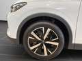Volkswagen Tiguan Goal 2,0TDI 150PS DSG 19 Zoll Area View A Weiß - thumbnail 4