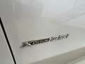 BMW X5 xDrive 35iA Blanco - thumbnail 29