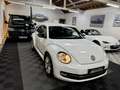 Volkswagen Coccinelle 1.4 TSI 150CH CLUB Weiß - thumbnail 4