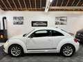 Volkswagen Coccinelle 1.4 TSI 150CH CLUB Weiß - thumbnail 3
