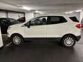 Ford EcoSport EcoSport 1,0 EcoBoost Titanium STitanium S Weiß - thumbnail 4