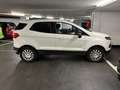 Ford EcoSport EcoSport 1,0 EcoBoost Titanium STitanium S Weiß - thumbnail 3