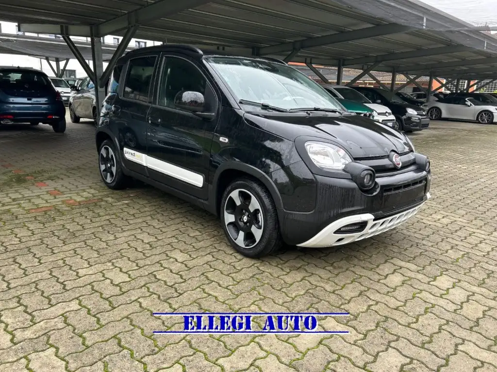 Fiat New Panda 0 из Европы — купить под ключ