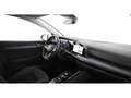Volkswagen Golf Variant Golf VIII Variant 2.0 TDI Style Aut LED RADAR NAV Weiß - thumbnail 13