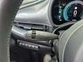 Fiat 500e Icon 42 kWh CarPlay Park-Paket Winter-Paket Grigio - thumbnail 19