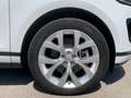 Land Rover Range Rover Evoque Range Rover Evoque 2.0D I4 163 CV AWD Auto SE Aut - thumbnail 9