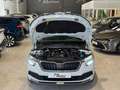 Skoda Kamiq 1.0 TSI 110CV DSG7 EMOTION.-" IMPECABLE" Wit - thumbnail 32