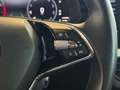 Skoda Kamiq 1.0 TSI 110CV DSG7 EMOTION.-" IMPECABLE" Wit - thumbnail 14