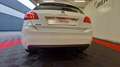Peugeot 308 SOCIETE puretech 130ch ss eat8 active business Blanc - thumbnail 14