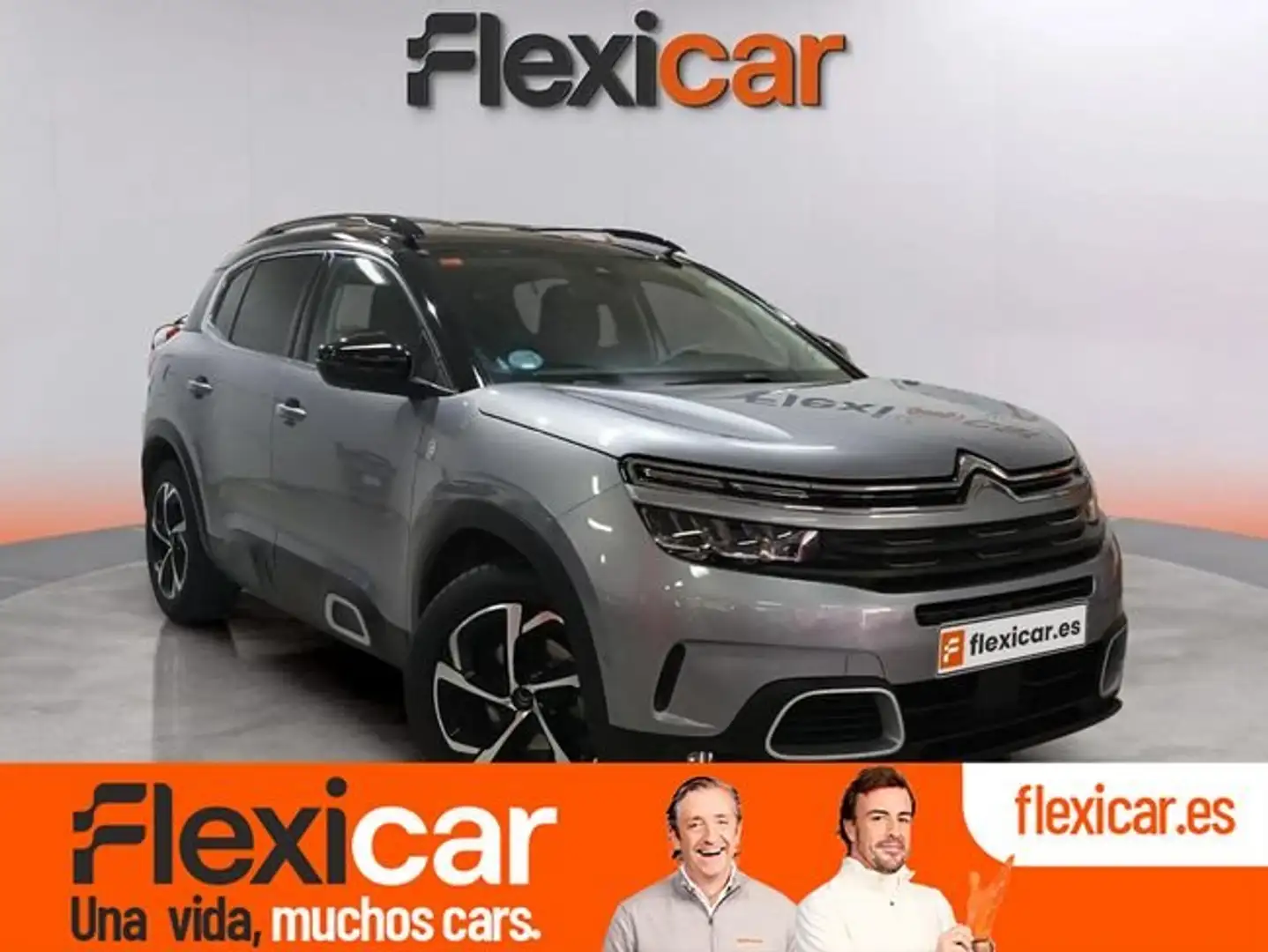 Citroen C5 Aircross PureTech S&S C-Series EAT8 130 Gris - 1