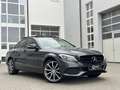 Mercedes-Benz C 220 AMG NIGHT *PANO*KAME*DISTR+* Grau - thumbnail 1