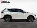 Mazda CX-5 G194 AWD 100 Years Aut. Weiß - thumbnail 6
