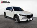 Mazda CX-5 G194 AWD 100 Years Aut. Weiß - thumbnail 7