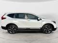 Honda CR-V 2.0 Hybrid 184 CV Automatica Elegance Navi Bianco - thumbnail 5